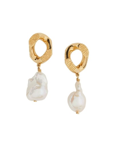 chain-link Earrings