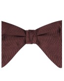 clip-on bow tie