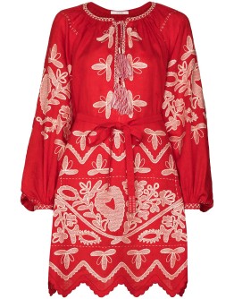 embroidered mini dress