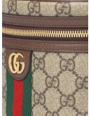 Ophidia cosmetic case