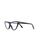 FT5729B cat-eye frame glasses