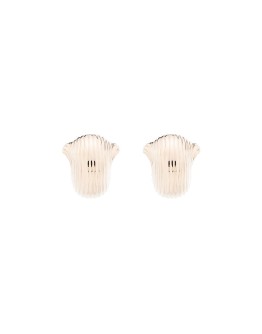 shell earrings