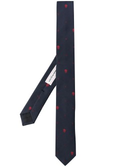 embroidered skull and star tie