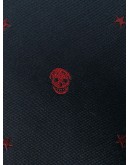 embroidered skull and star tie