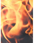 flame swimming shorts
