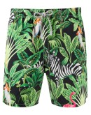 tropical print swim shorts