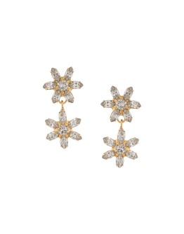 Carrie crystal earrings