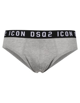Icon waistband briefs