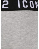 Icon waistband briefs