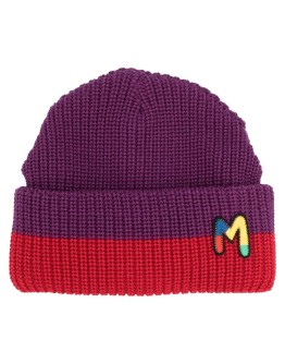 embroidered logo beanie