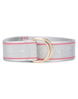 metallic belt
