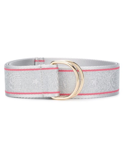 metallic belt