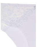 lace panel briefs