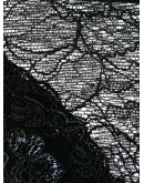 lace-detail thong