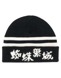character print beanie