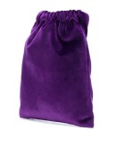embellished velvet pouch