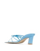 Marissa mules