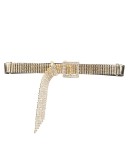Blondie crystal belt 