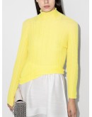 long sleeve roll neck top