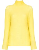 long sleeve roll neck top