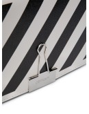 mini Diag flap bag