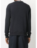 wolf sweatshirt