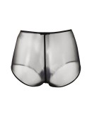 high-waisted mesh cotton briefs