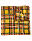 check-pattern frayed scarf