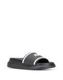 Oversized Hybrid Signature slides